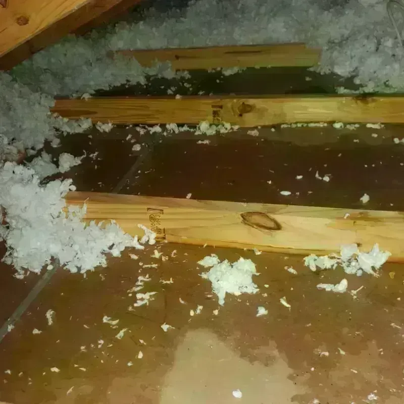 Attic Water Damage in Gadsden, AL