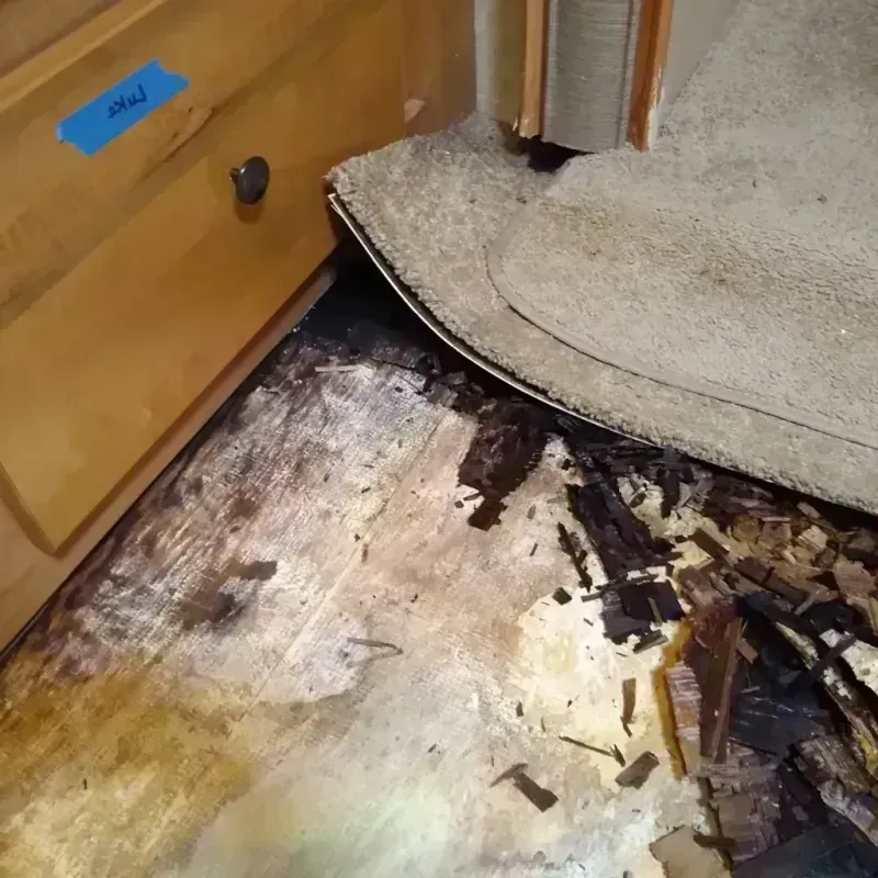 Wood Floor Water Damage in Gadsden, AL